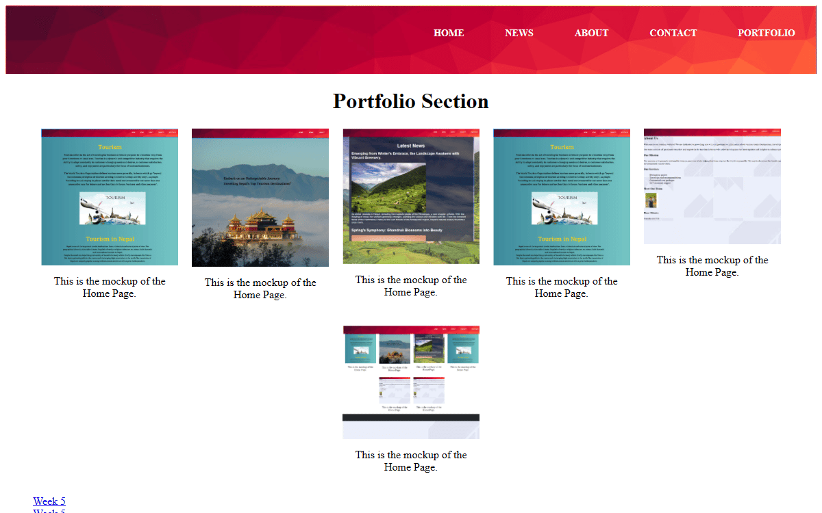 The first website’s portfolio of tourism-page design mockups.